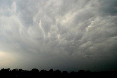 Eifelmammatus0507 021K.jpg